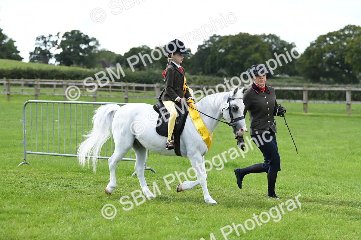 SBM_42693 - S20 - Lead Rein Mountain & Moorland Pony