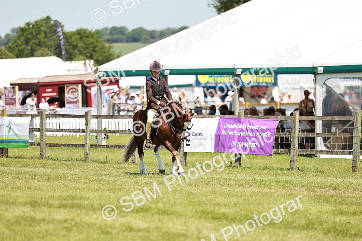 SBM_15509 - Class 108-109 - BSPS LIHS Open Gradle & Nursery Stakes