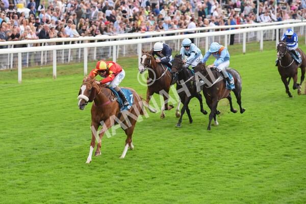 yr04092022r3-30 - Race 3 2.55pm The Elevator Company Garrowby Stakes