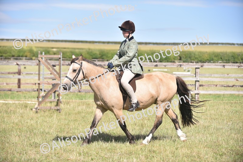 20260906-2617 - Class 12 - 14.2hh and Under