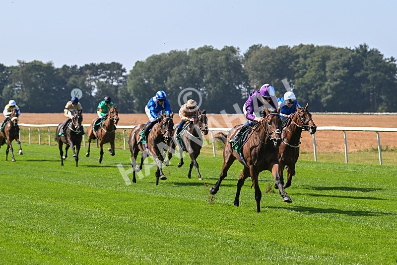 300824-Race 1-Tuscan Hills-5602 - Race 1