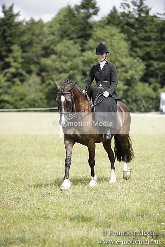 BVR160717-1978 - Side Saddle Classes 16/07/17