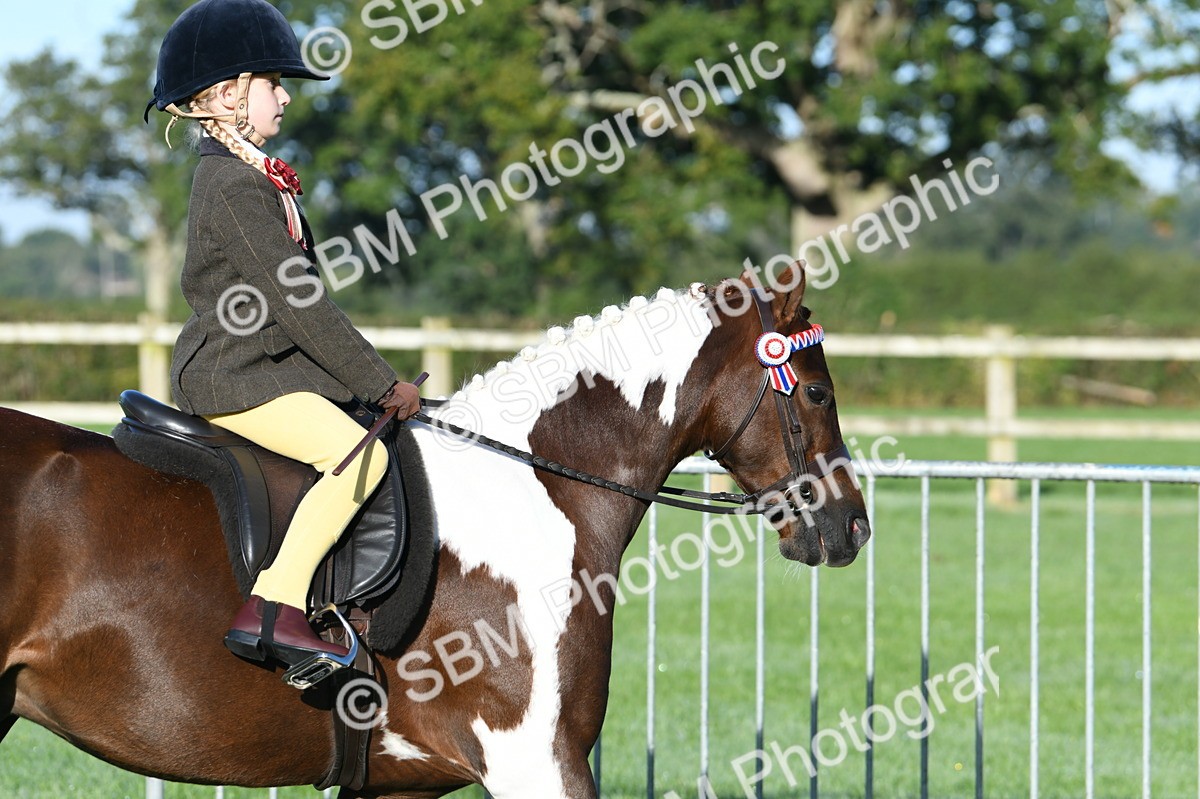 SBM_33894 - S16 - Condition & Turnout - Ridden