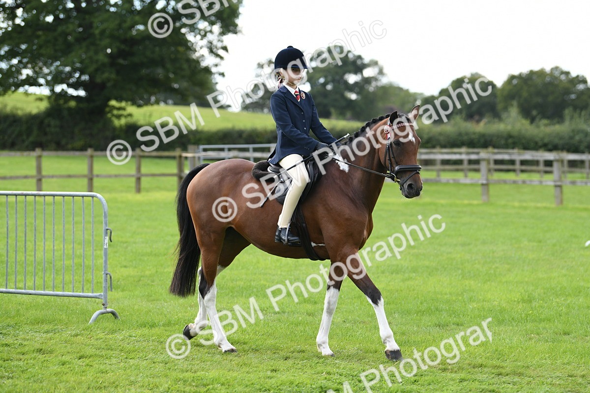 SBM_46697 - S12 - Family Horse & Pony