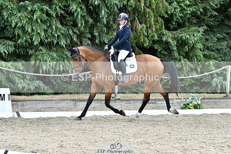 260801A-114725-03698 - Prelim Bronze Break - End