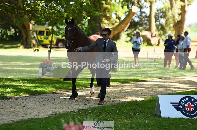 230524-153910-00412 - 371-JERPOINT_ECLIPSE-Max_Gordon-WEDTrotUp+DR