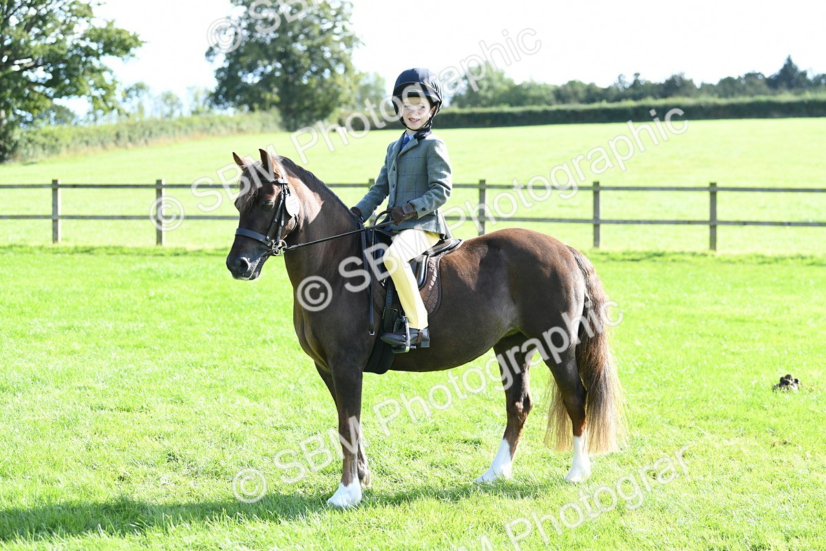 SBM_50396 - S21 - Novice & Newcomers 1st Ridden Pony
