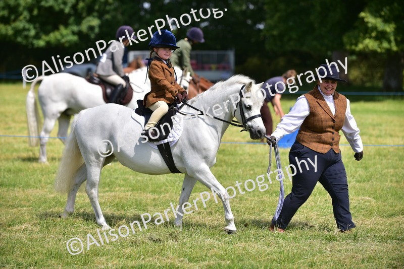 20260614-1153 - Class 11a - Lead Rein Pony (Unplaited)