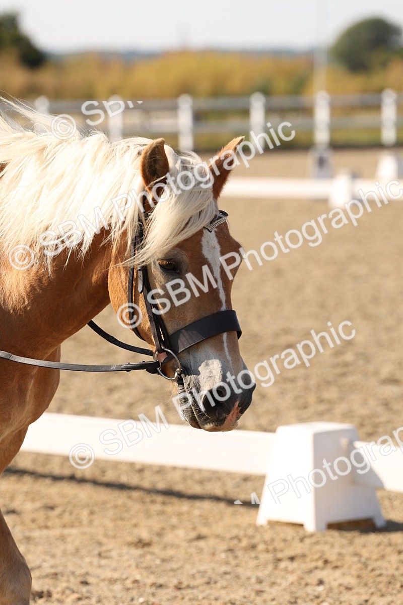 SBM_006955 - Prelim 4 - 15.56-17.51
