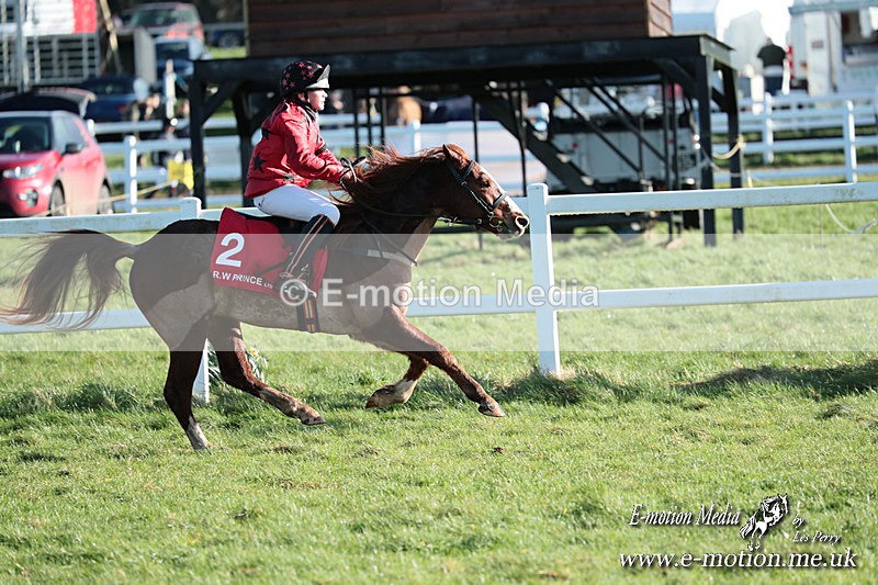 PtP 230324 1265 - Tedworth Hunt PtP Larkhill Raccourse 23rd March 2024