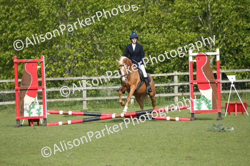 20260426-0143 - Class 13 - Rookie Jumping 50cm