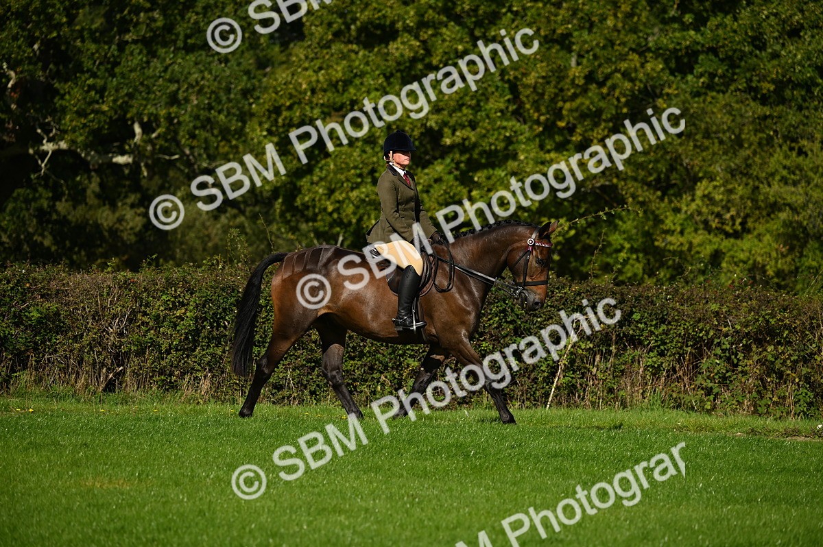 SBM_01390 - S2 - TSR Ridden Horse Showing
