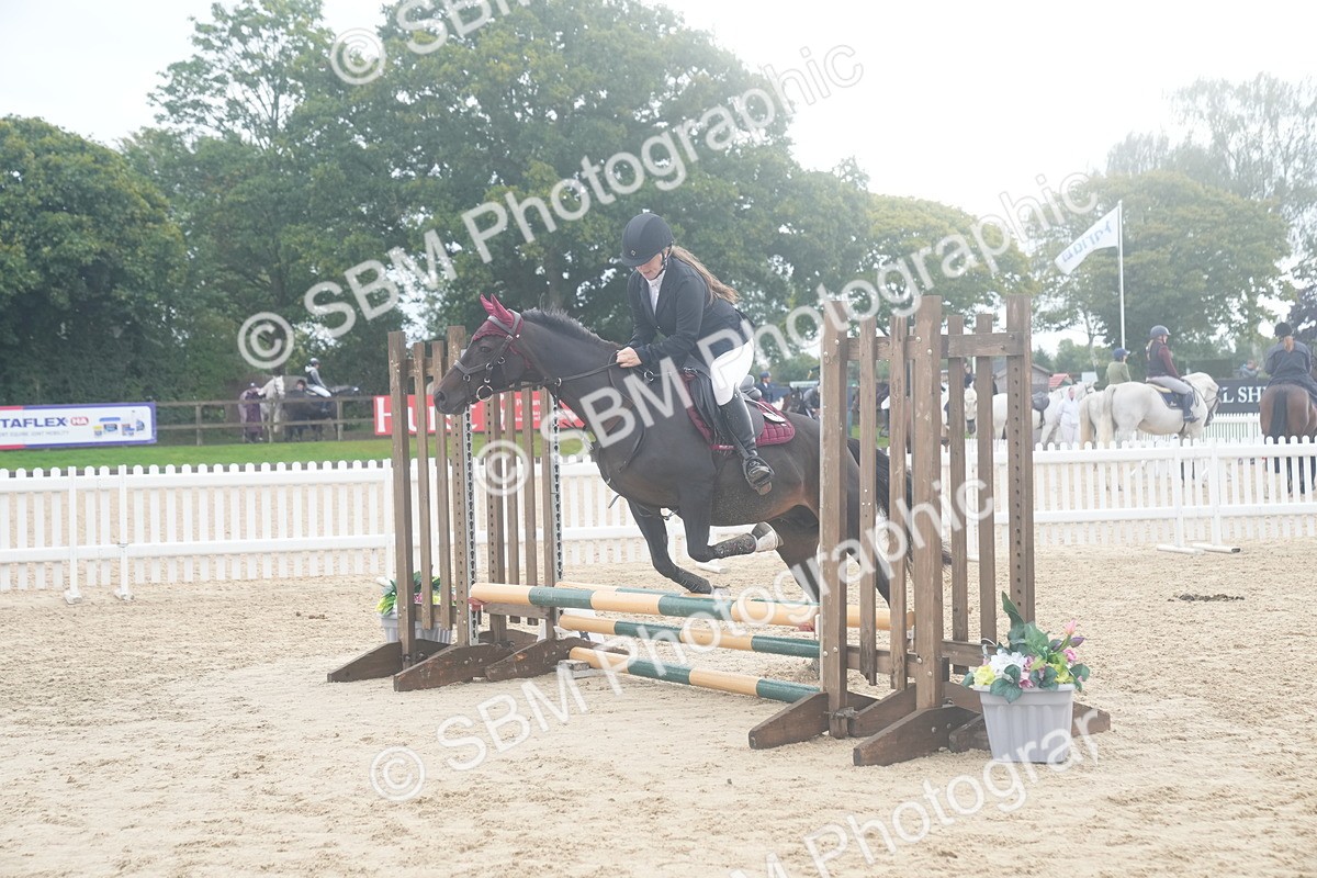 SBM_01915 - J54 - Clear Round 50cm