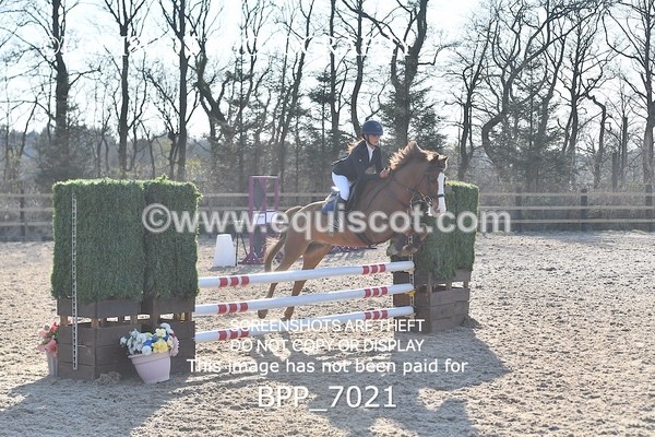 BPP_7021 - CLASS 17 SUN Stepping Stones 128/ 138cms Handicap