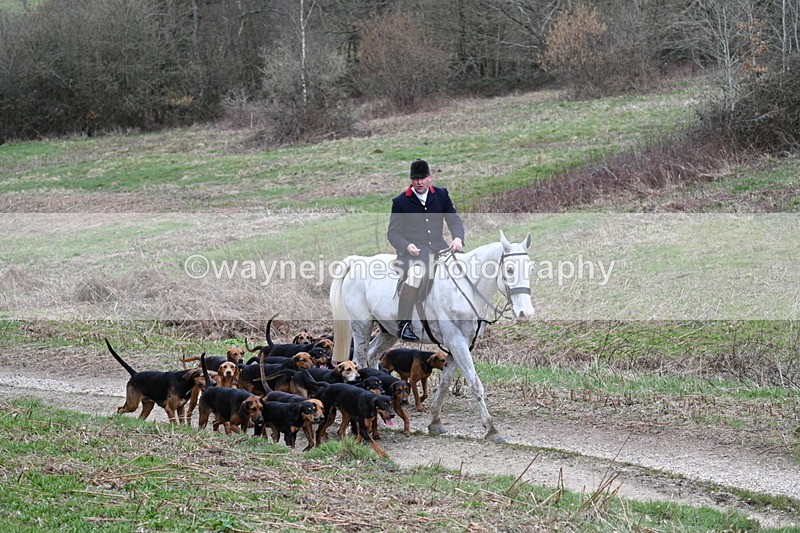 WJ7_7308 - Walk Home