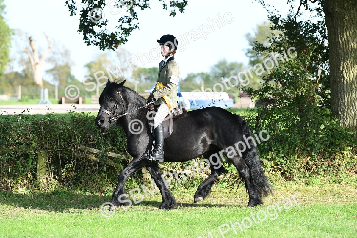 SBM_52103 - S21 - Novice & Newcomers 1st Ridden Pony
