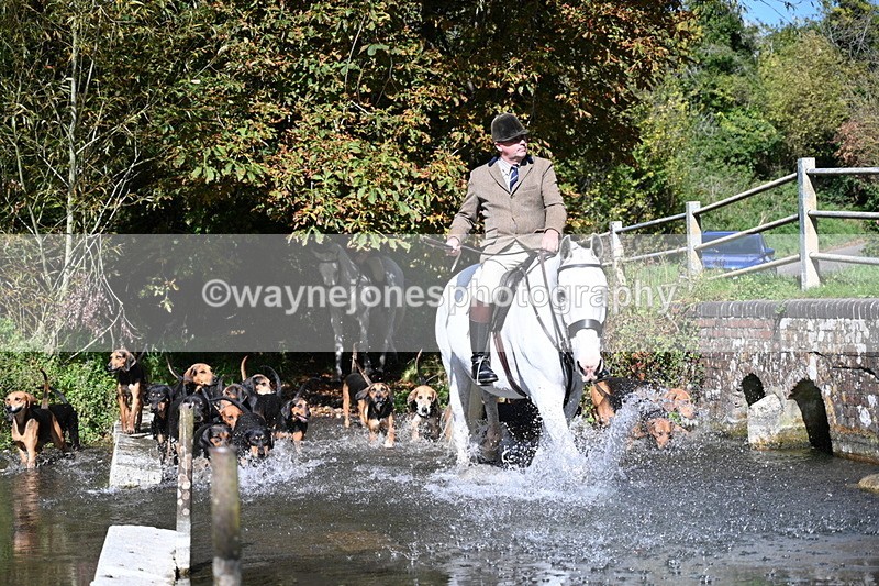 WJ7_5944 - Hounds Water Crossing