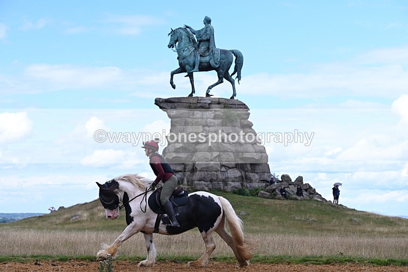 DSC_9694 - Time at Statue 15:11 to 15:58