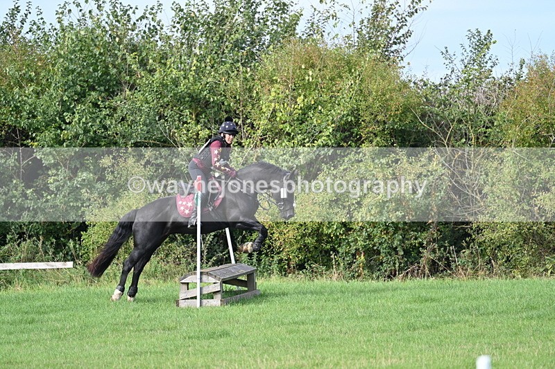 WJ7_8294 - 60cm Pairs