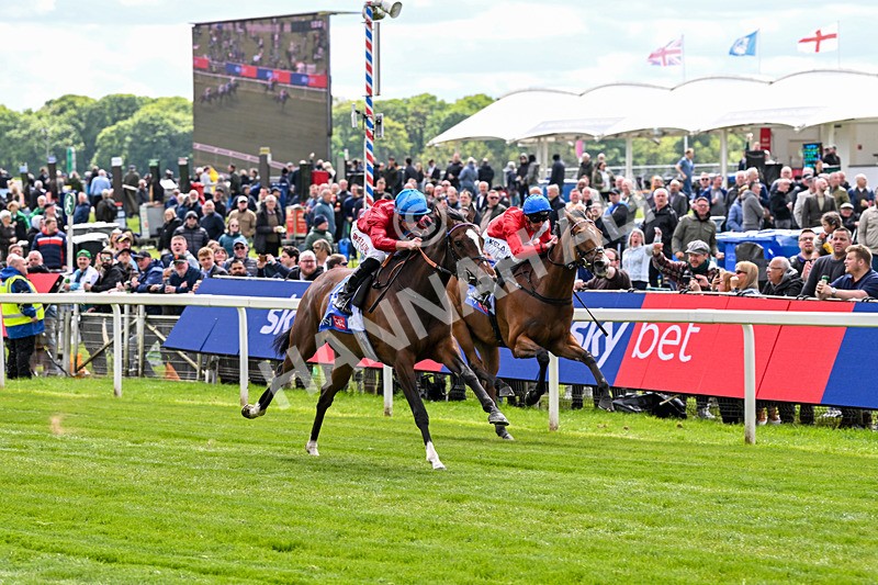 150526-Race 2-Lilt-7204 - Race 2 2.20pm Sky Bet Fillies' Stakes