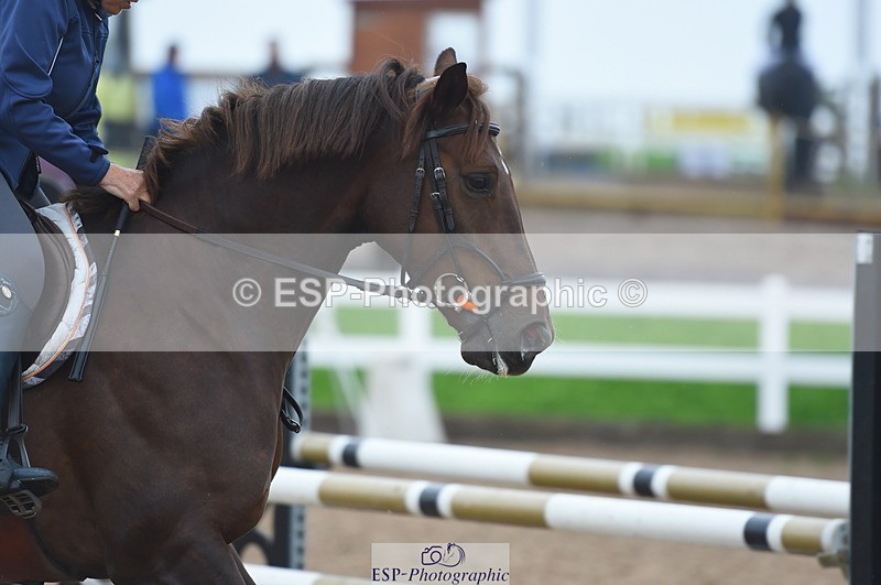 230916A-104834-03507 - Cls 21 British Novice & 90cm Open