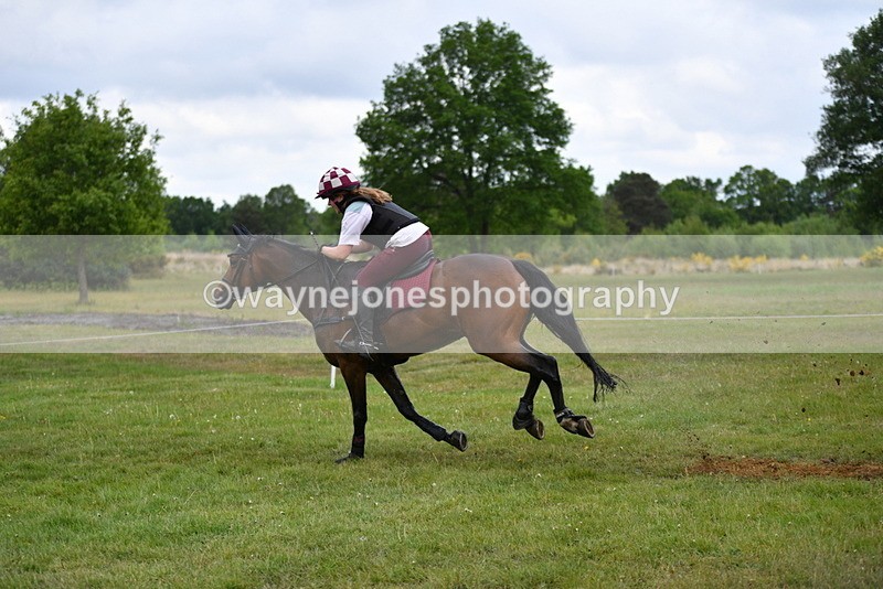 WJ5_4875 - Time 10:42 to 10:55