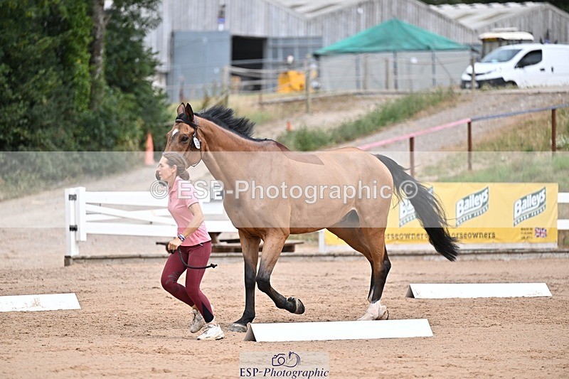 250716-132851-00546 - Trot Up 12.30 to 1.30