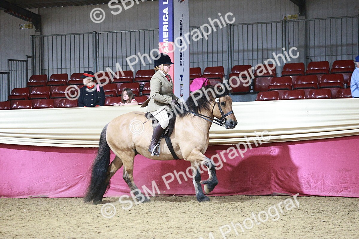 SBM_08032 - Class 11R - Regional Ridden Veteran