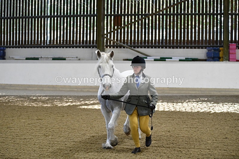 WJ5_3552 - Class 5 In Hand Veterans