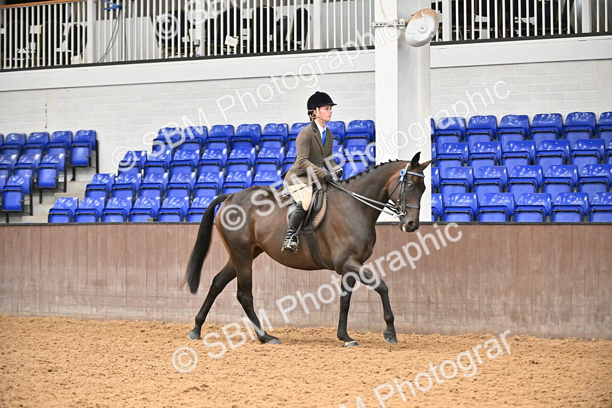 SBM_002345 - Class 22 - BSHA Ridden Hack & Riding Horse