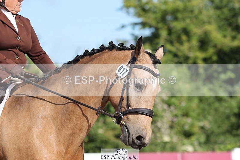 240706A-090829-00119 - Cls 2A Snr Prelim 7 Start to 10 break