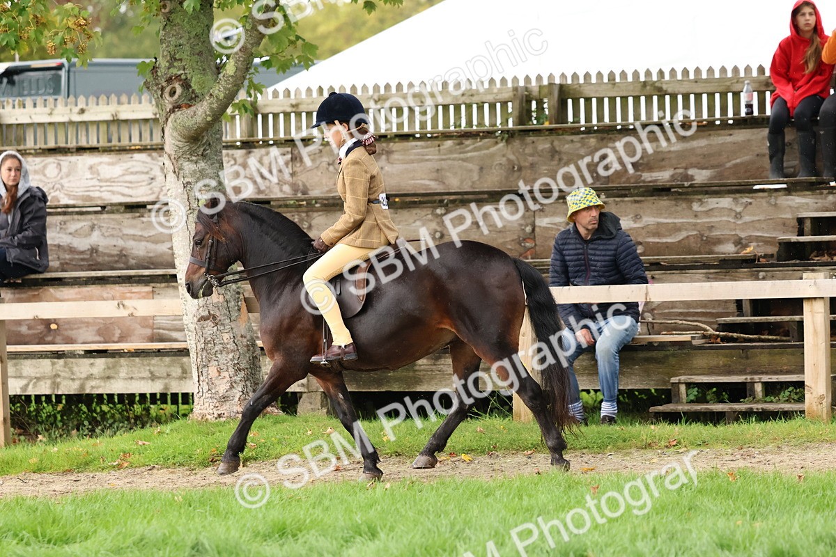 SBM_45008 - S27 - Young Veteran Ridden