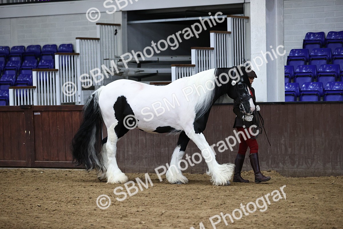 SBM_5604 - Class 40 - RESS In Hand Qualifier