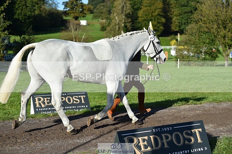 231022-103322-22559 - 459-CEIDE.HUMPHRY-Helen.Hickson-TrotUp+SJ