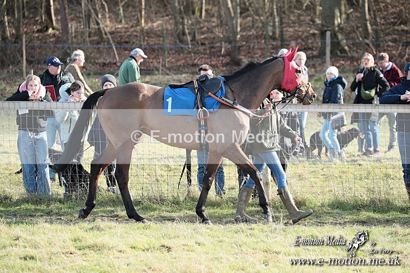 PtP 220225 781 - Kimblewick Point-to-Point  Kingston Blount 22/02/25