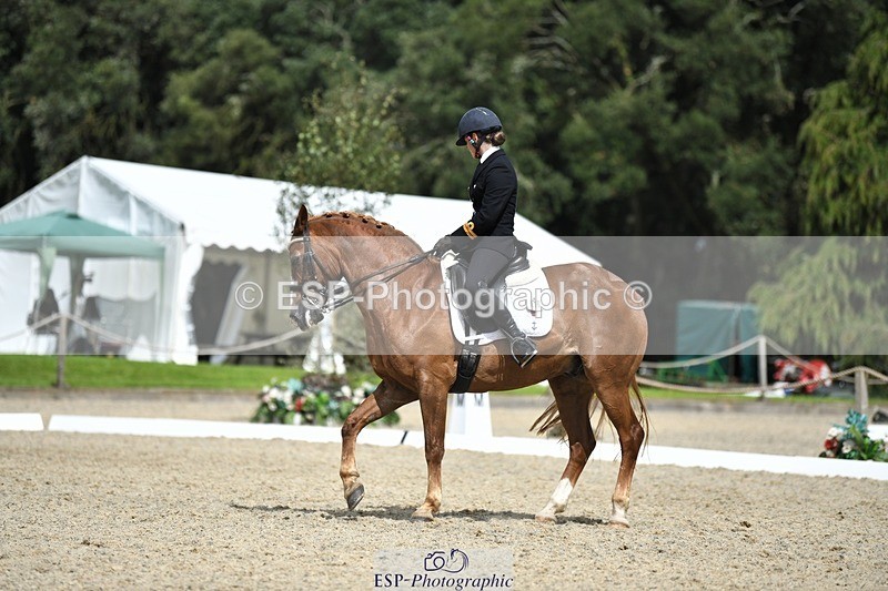 230812-141842-04658 - Cls 7 FEI PSG Bronze