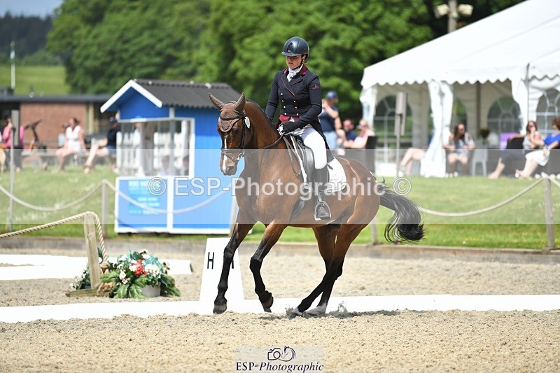 230525-113248-01851 - 101-INTERFIELDS_ABOUDDI-Saffron_Cresswell-WEDTrotUp+DR