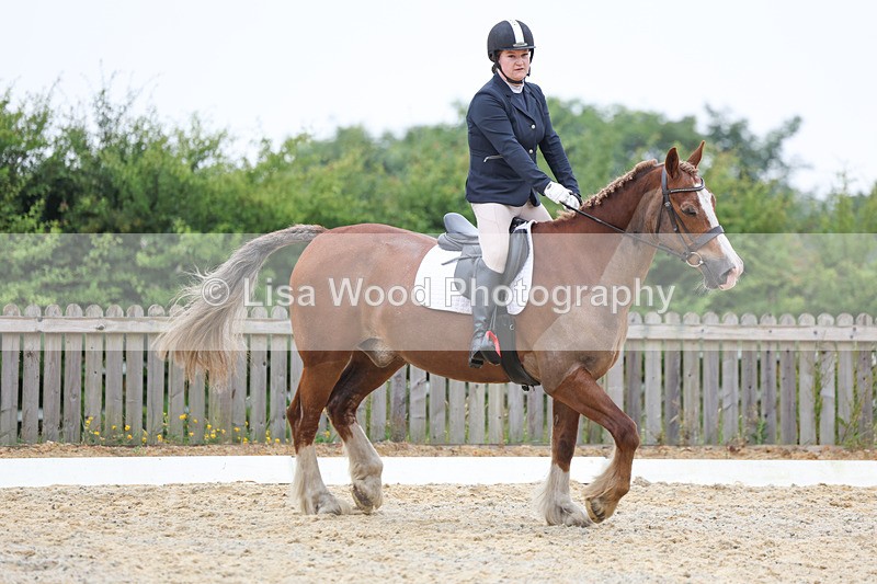 3E7A7992 - Class 1: Intro 3 2024 section A