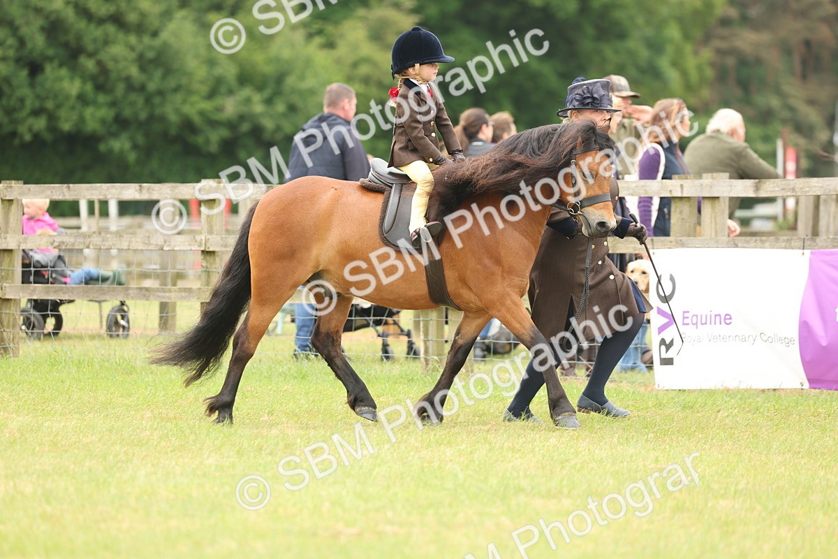 SBM_06713 - Class 74-75 - M&M Lead Rein and First Ridden Pony