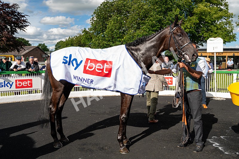 160624-Race 4-Align The Stars-5570 - Race 4