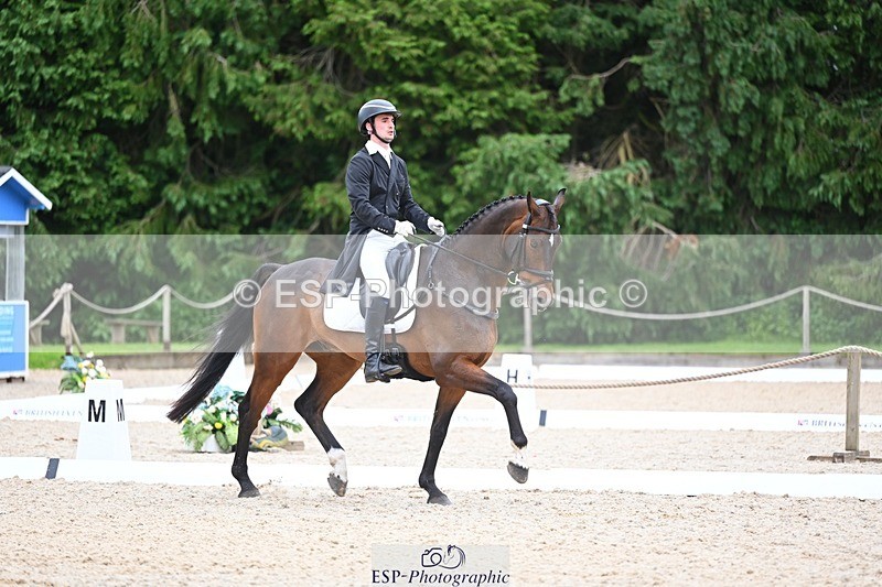 240524-175901-11535 - 162-HAZZLE_DAZZLE-Henry_Hobby