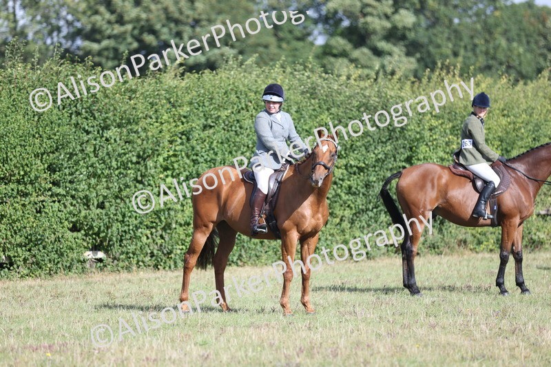 20250831-0929 - Class 14 - Ex Racehorse