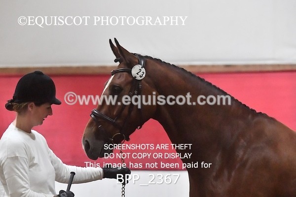 BPP_2367 - AFTERNOON 12.30 - 3.30PM