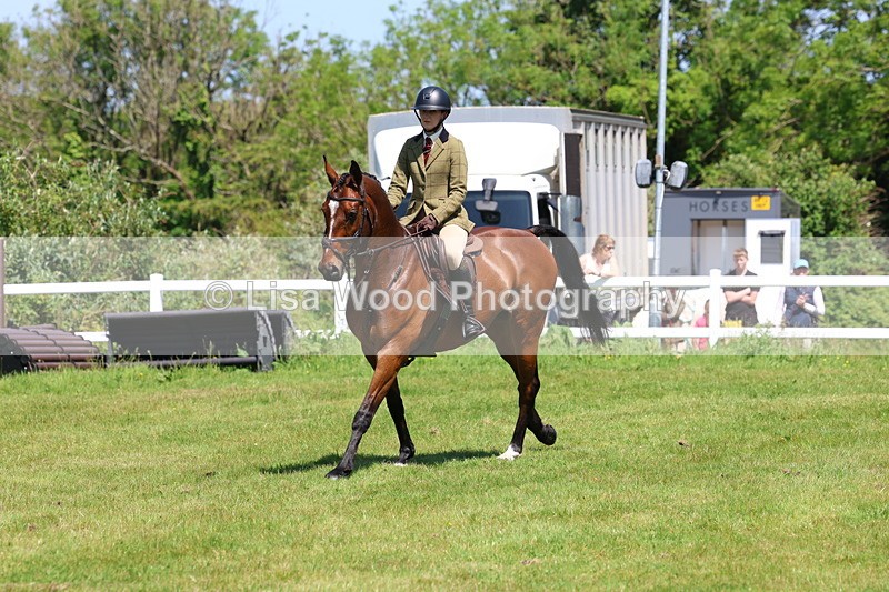 3E7A7244 - Class 30: Novice Working Hunter