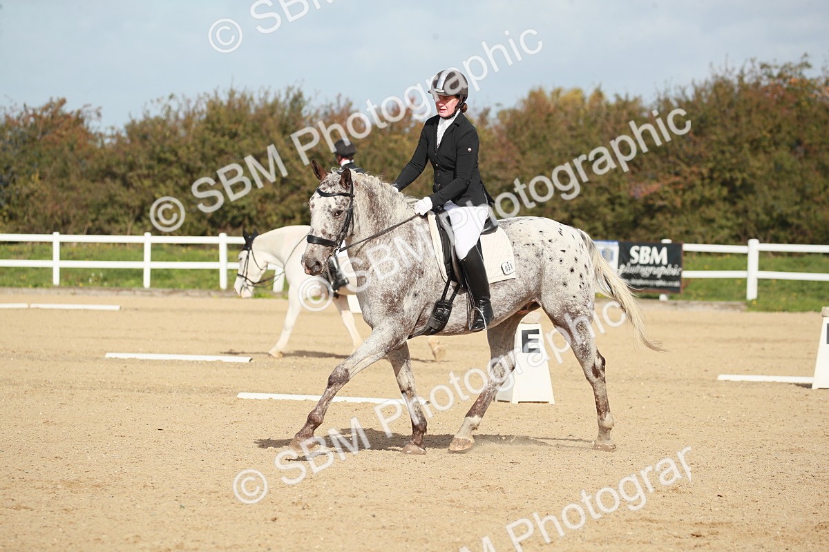 SBM_001693 - Class 4 - Novice 5