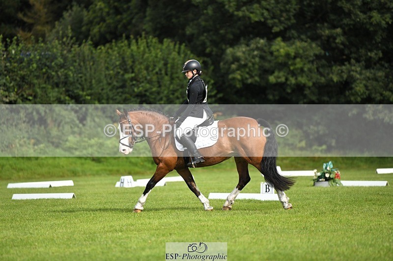 230826-094428-15213 - Sections C & D 9 to 10am