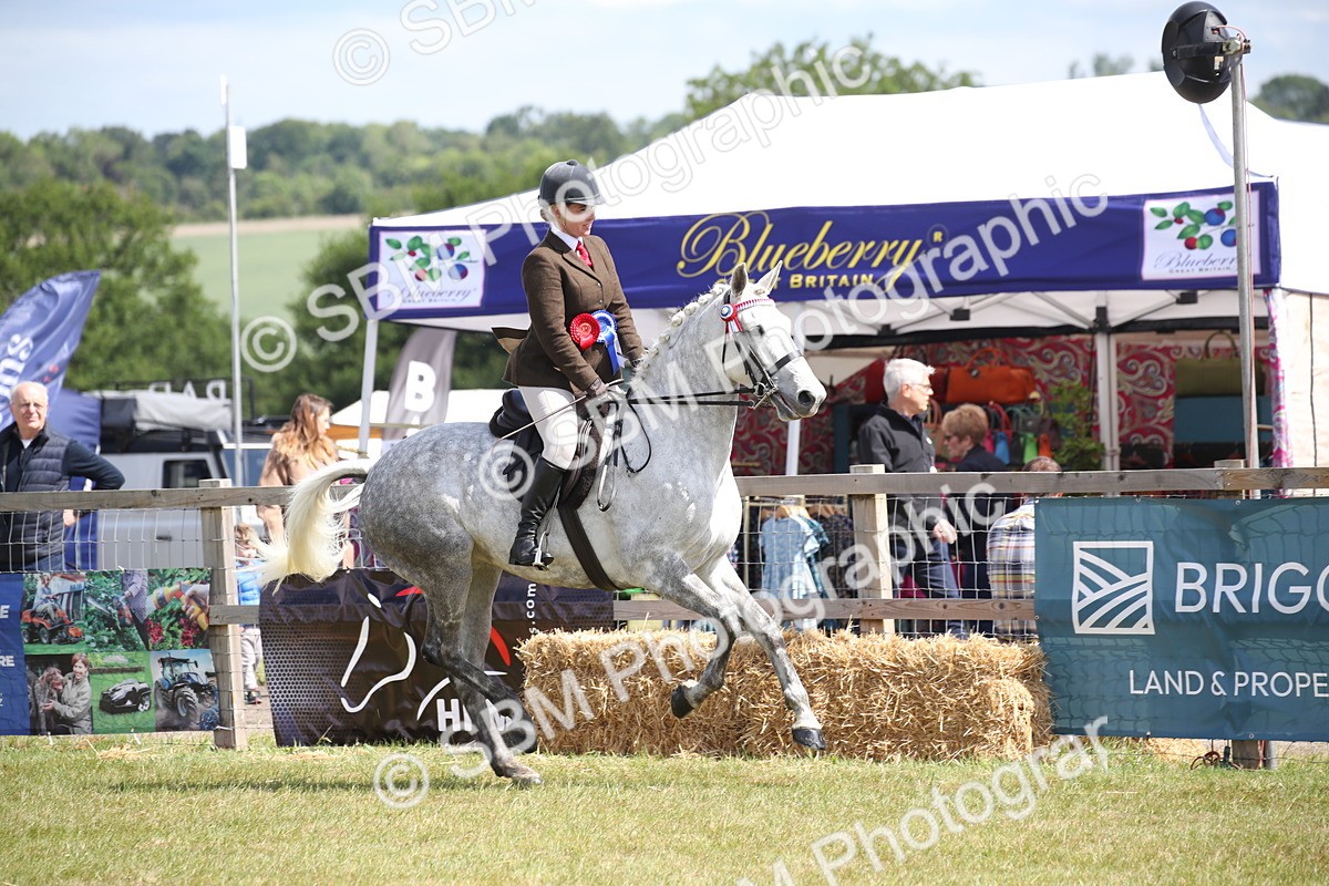 SBM_13348 - Class 95-96 - LIHS BSHA Rising Star Hack Riding Horse