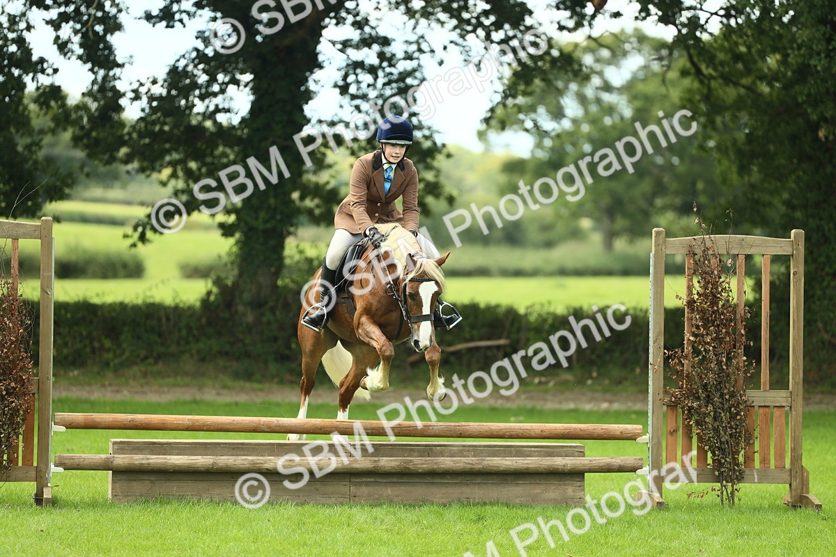 SBM_42824 - S30 - M&M Working hunter Pony