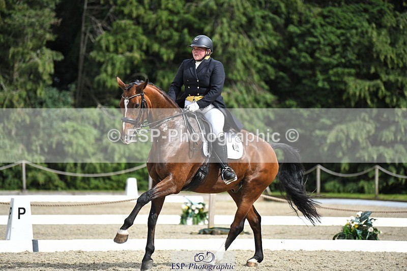 230812-155357-05245 - Cls 10 FEI Inter I Silver