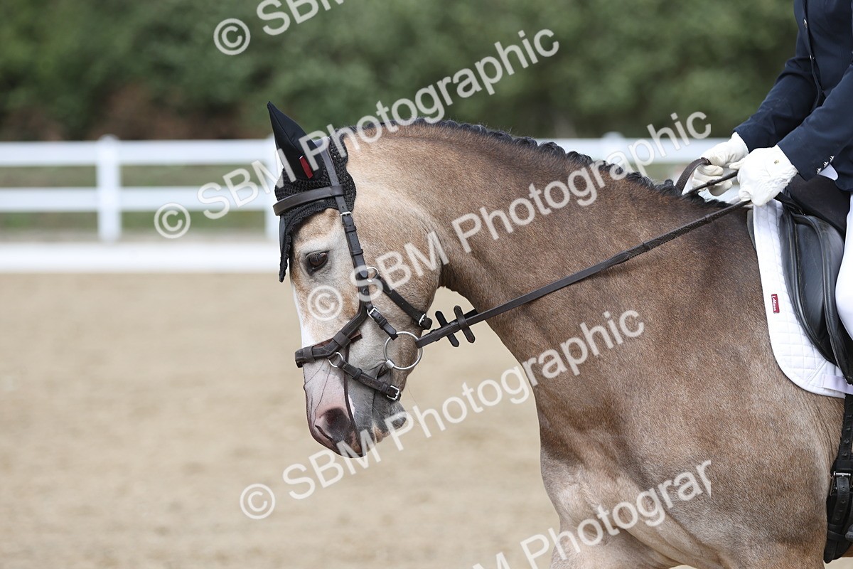 SBM_003721 - Class 6 - Prelim 3 Champs